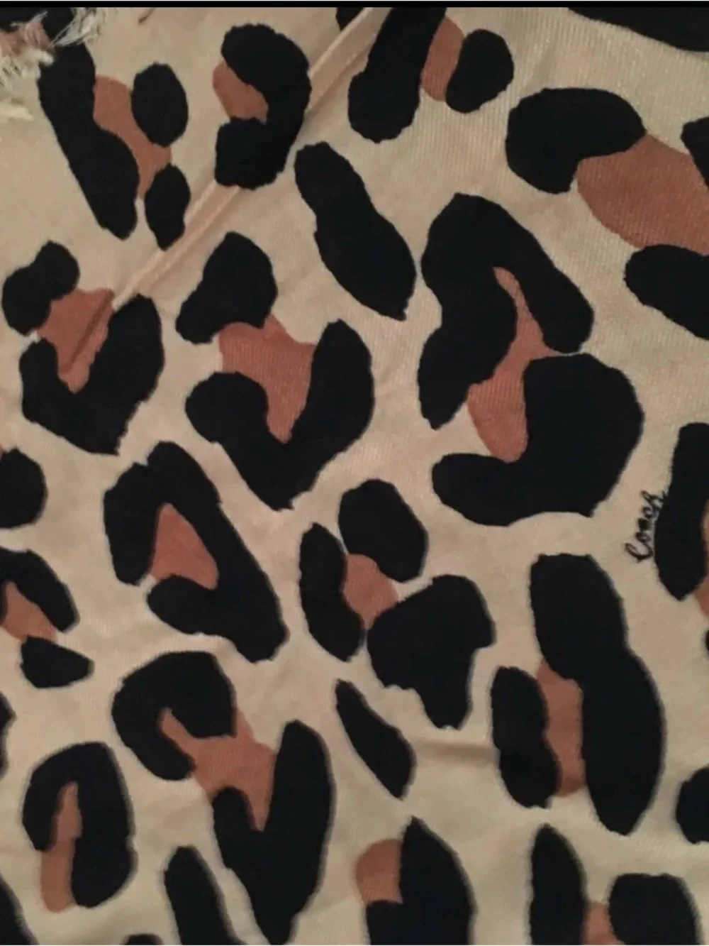 NWT Coach women leopard print scarf